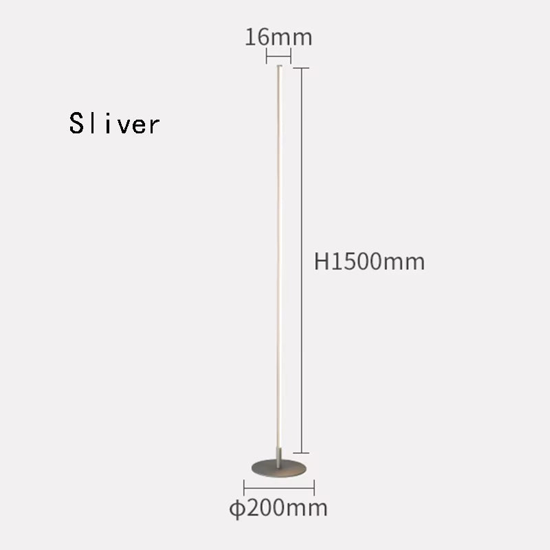 Minimalist LED Floor Lamp