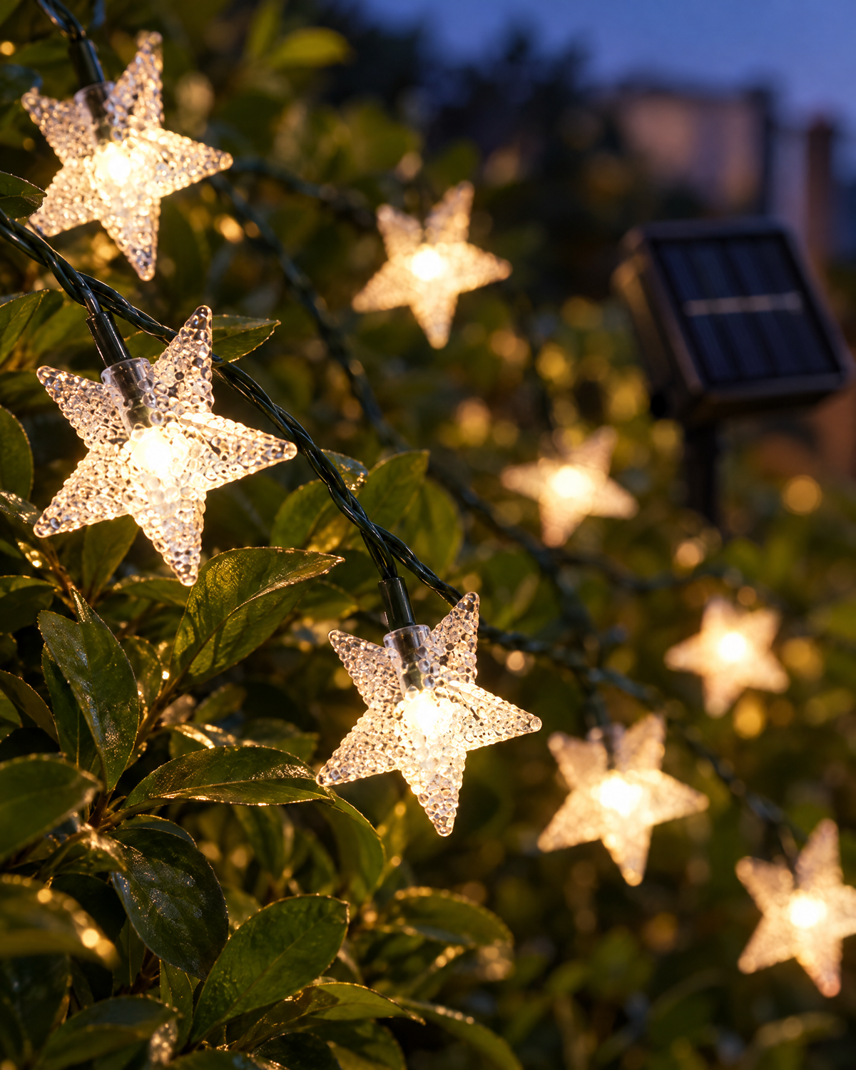 Close-up of frosted star LEDs with solar panel