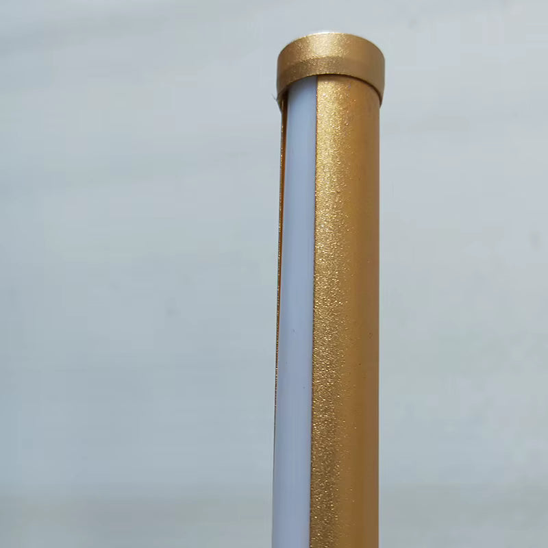 Minimalist LED Floor Lamp